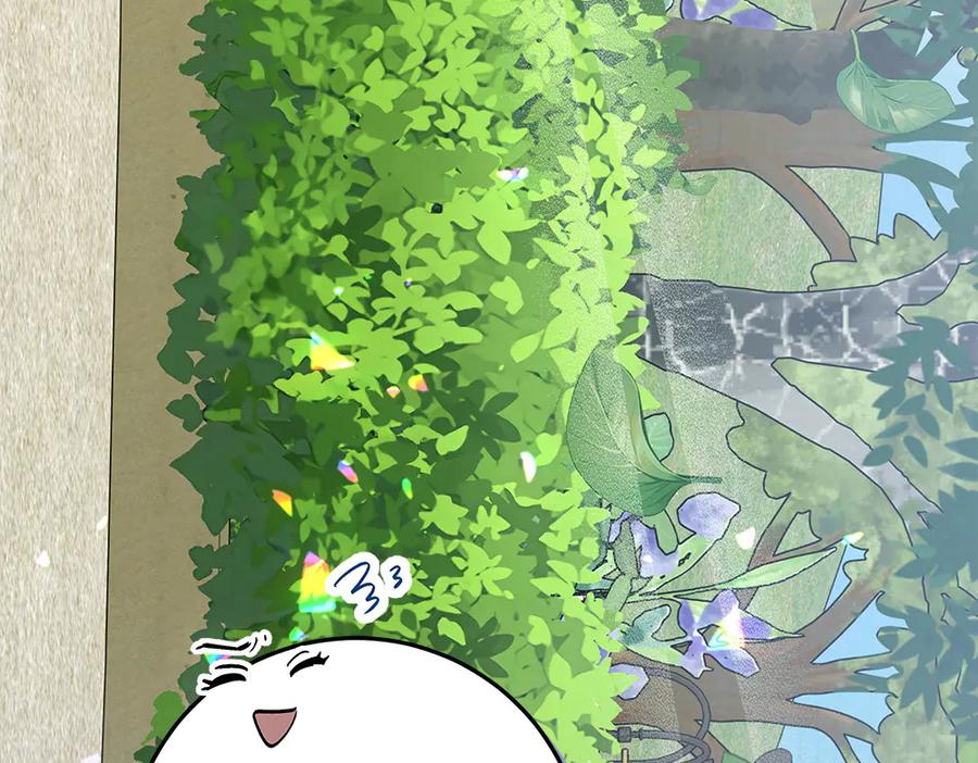第262页