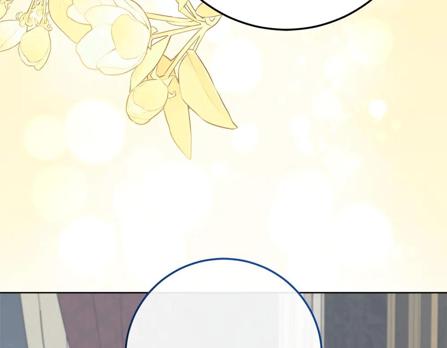 第239页