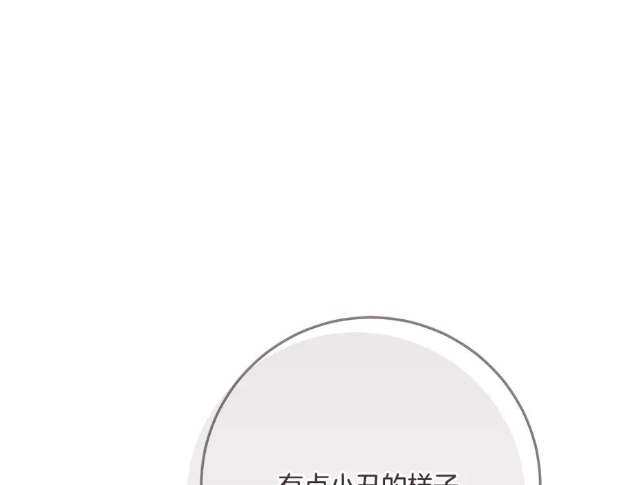 第243页