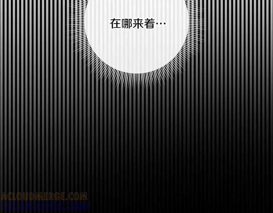 第261页