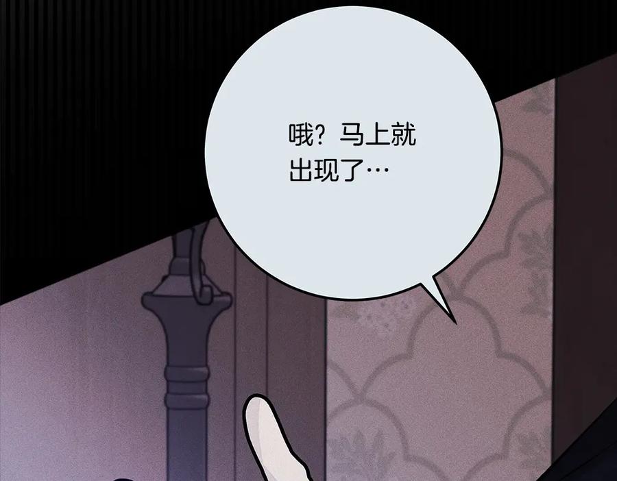 第262页