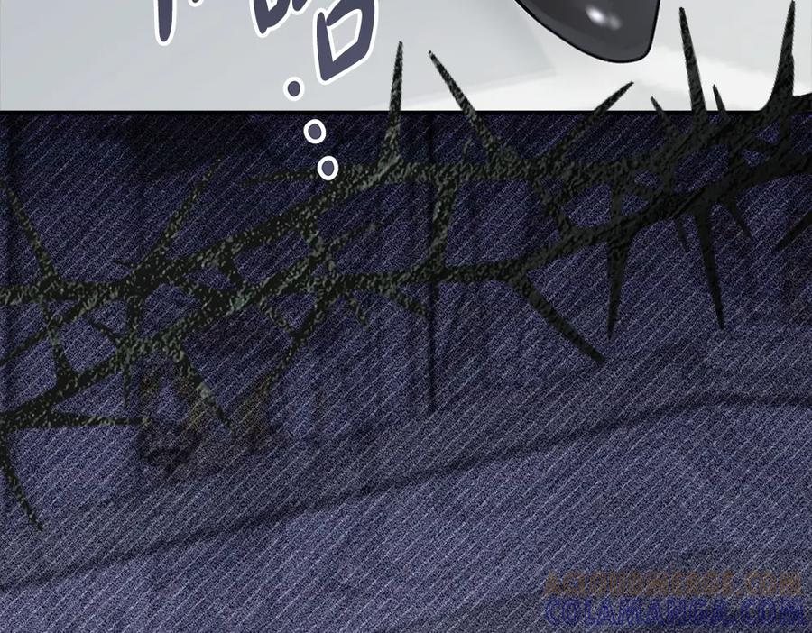 第205页