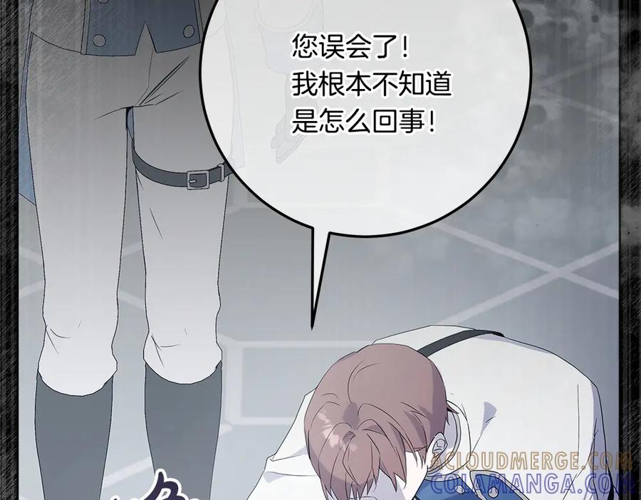 第229页