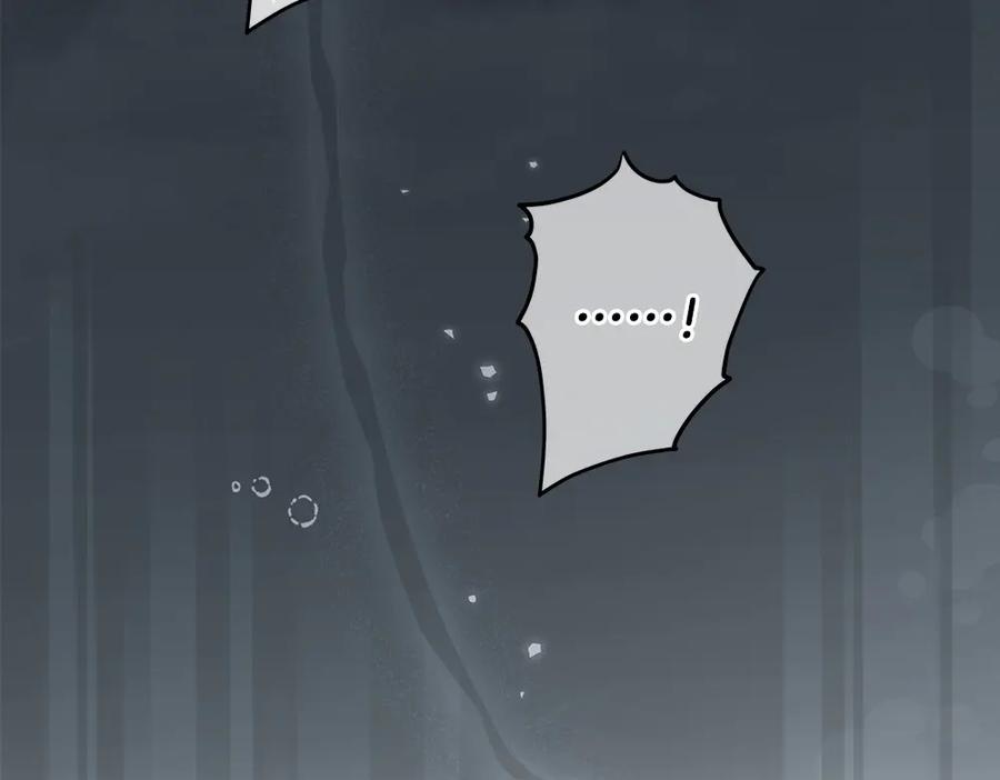 第256页