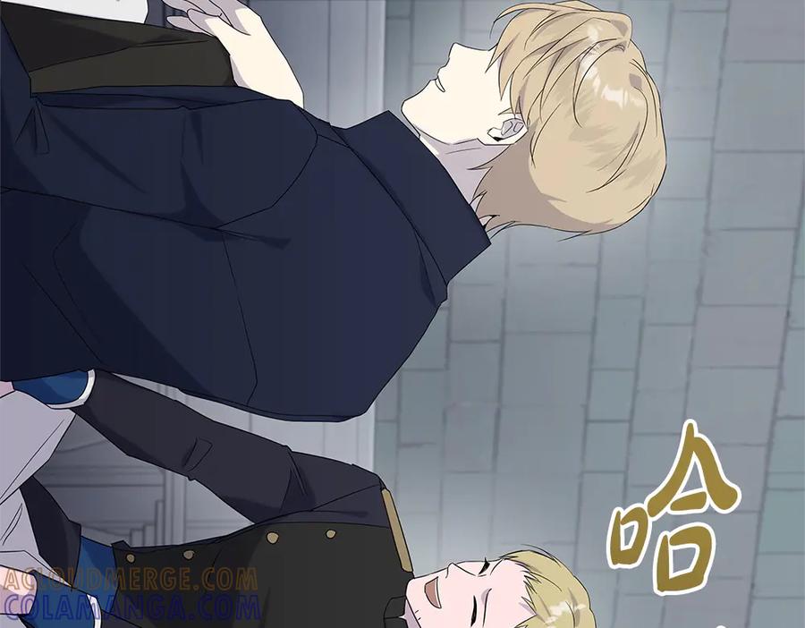 第213页