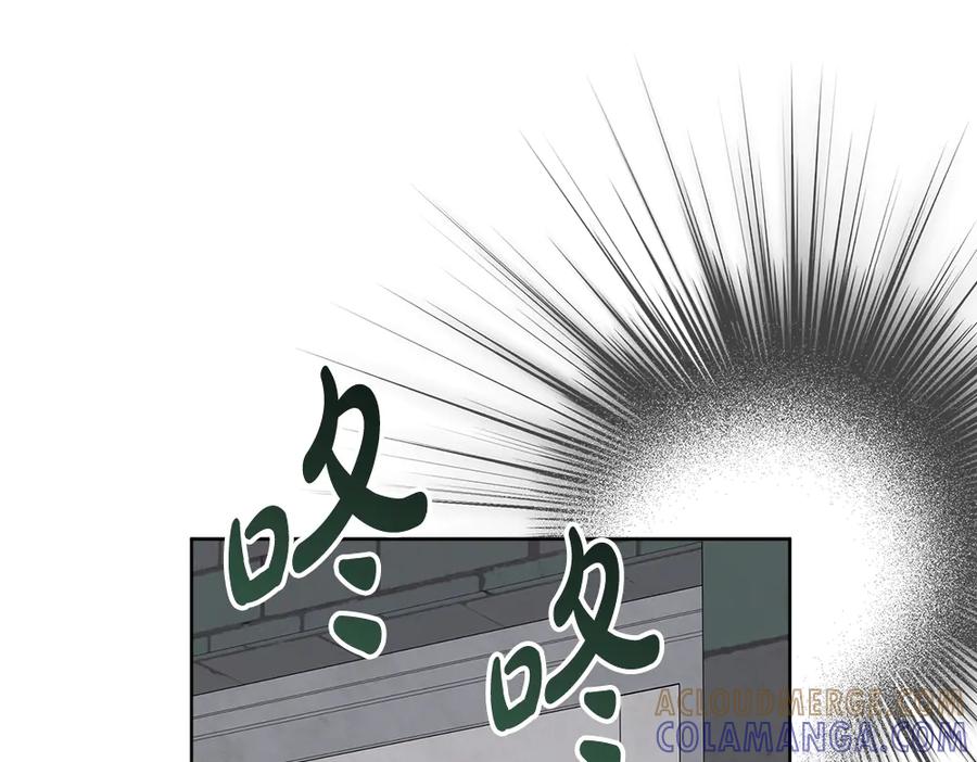 第217页