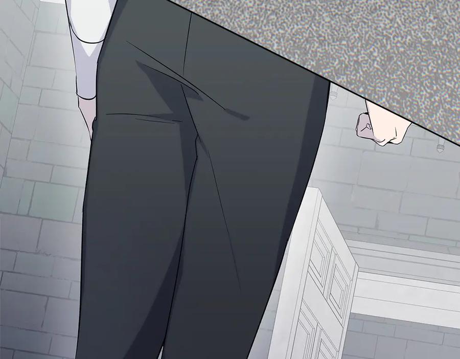 第231页