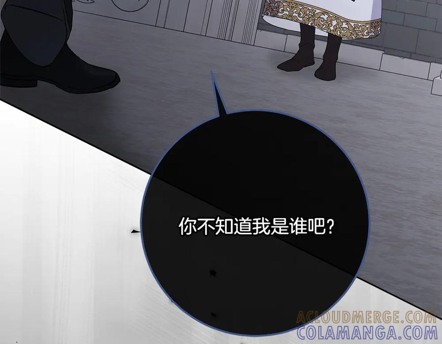 第233页
