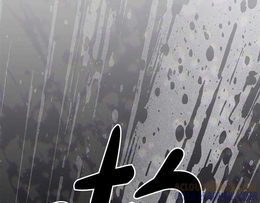 第241页