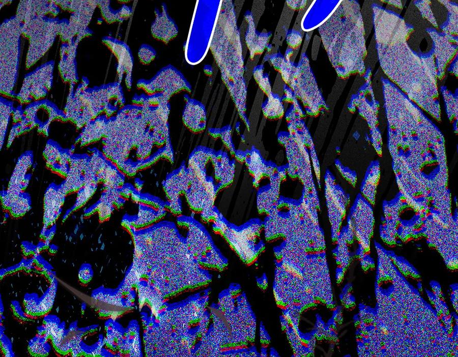 第244页