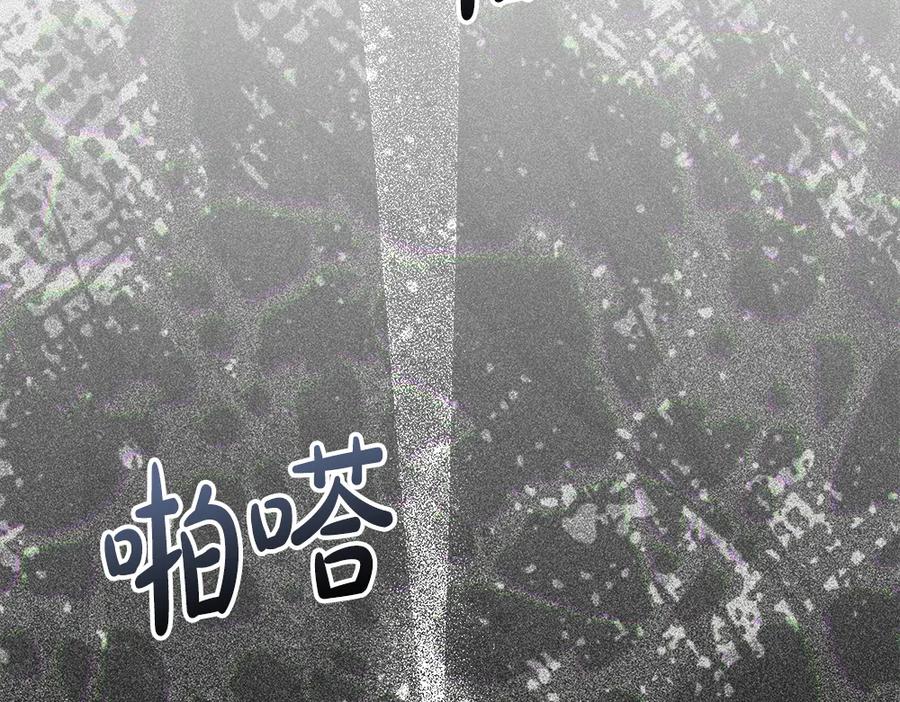第238页