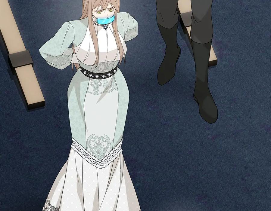 第250页