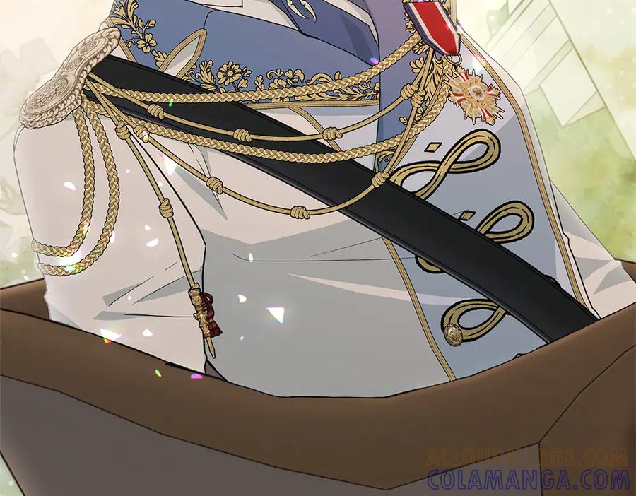 第241页