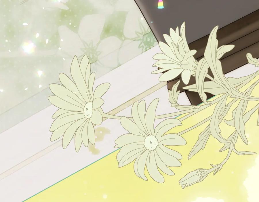 第243页