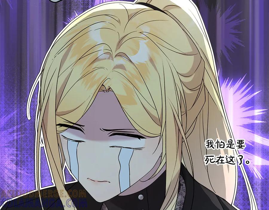 第233页