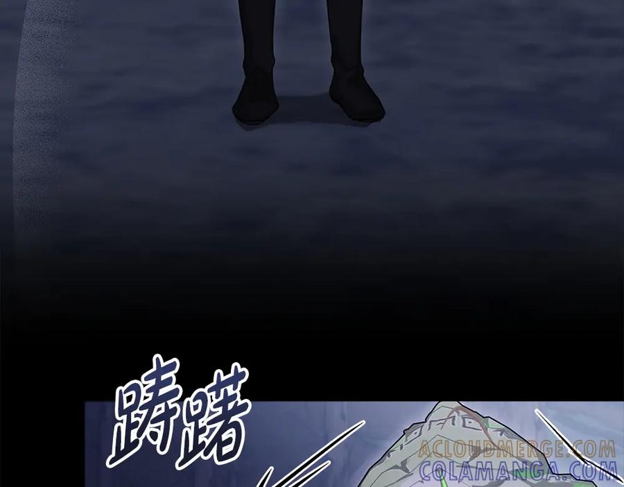 第209页