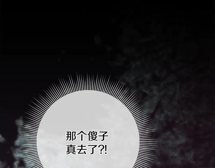 第224页