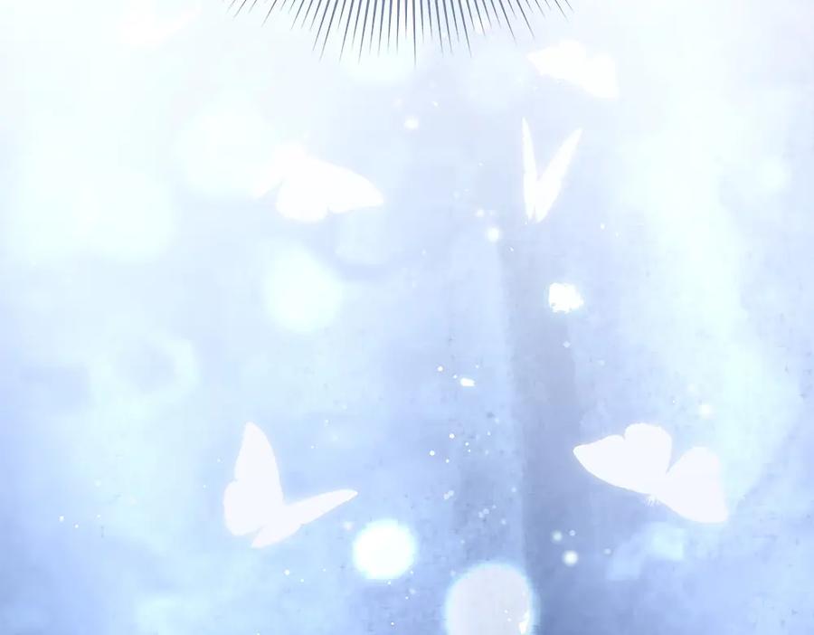 第291页