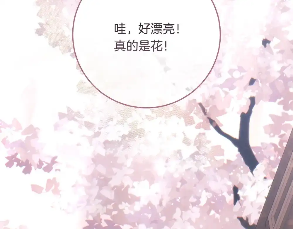 第230页