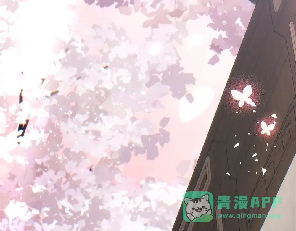 第231页