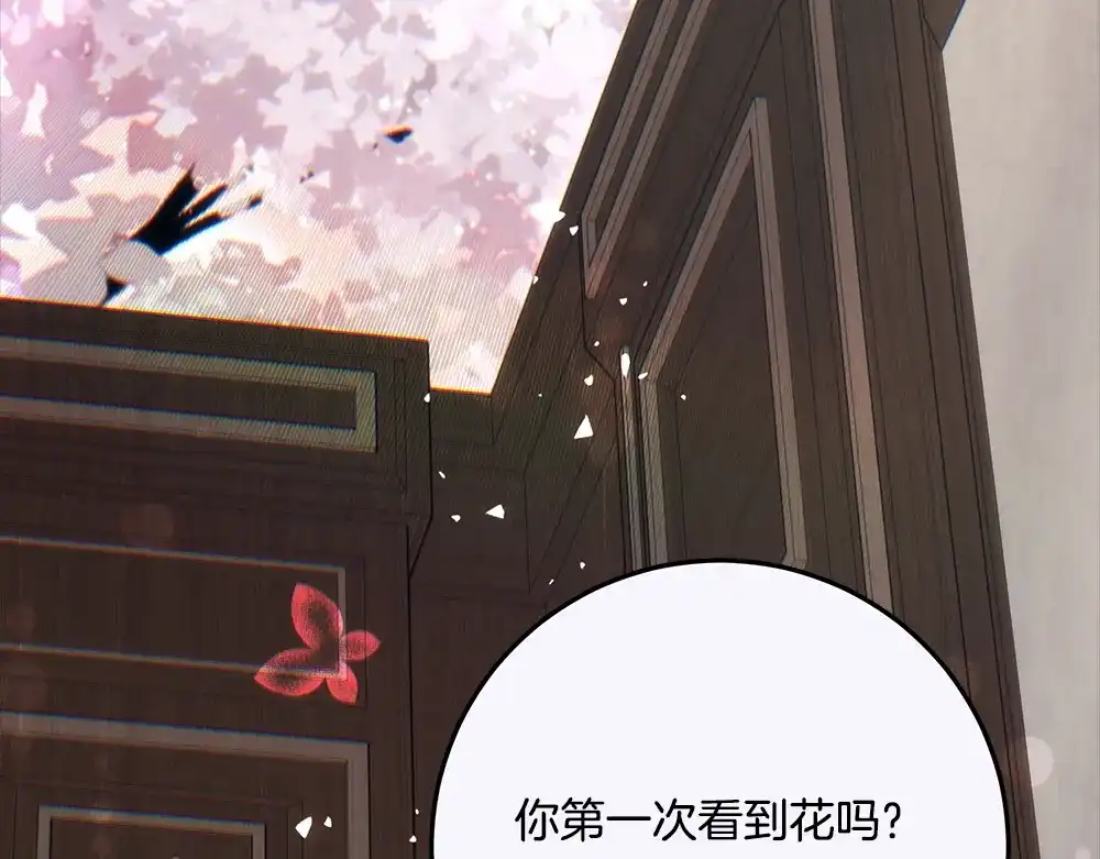第232页