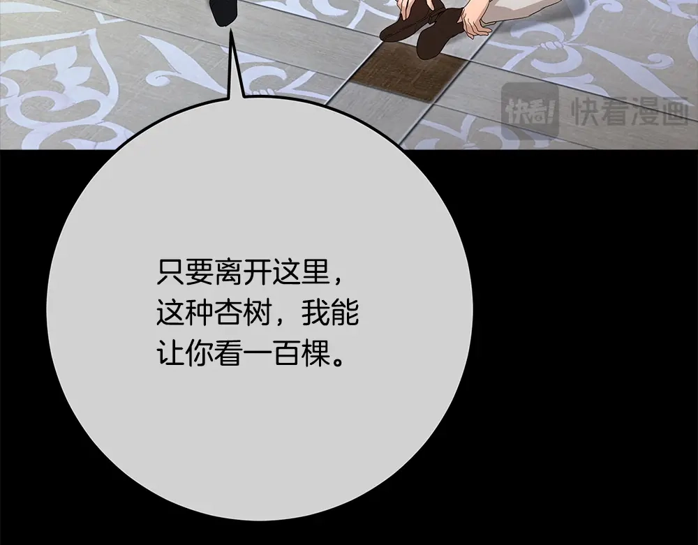 第240页