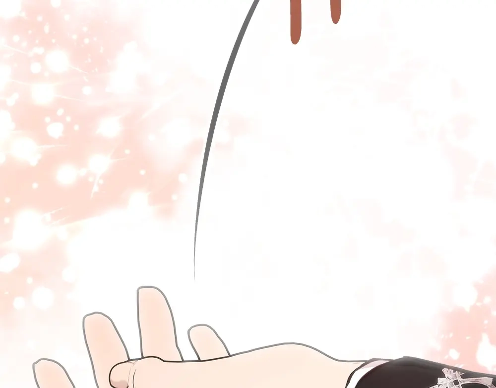 第224页