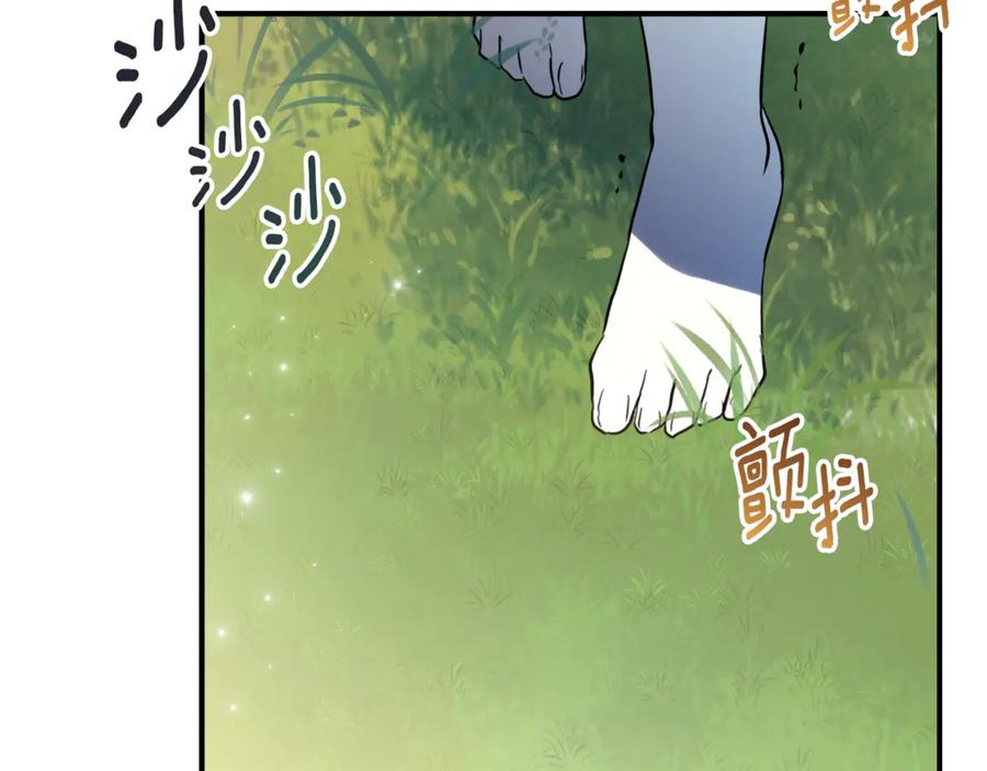 第215页