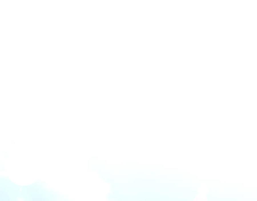 第223页