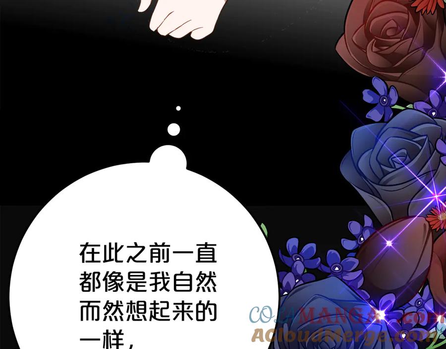 第221页
