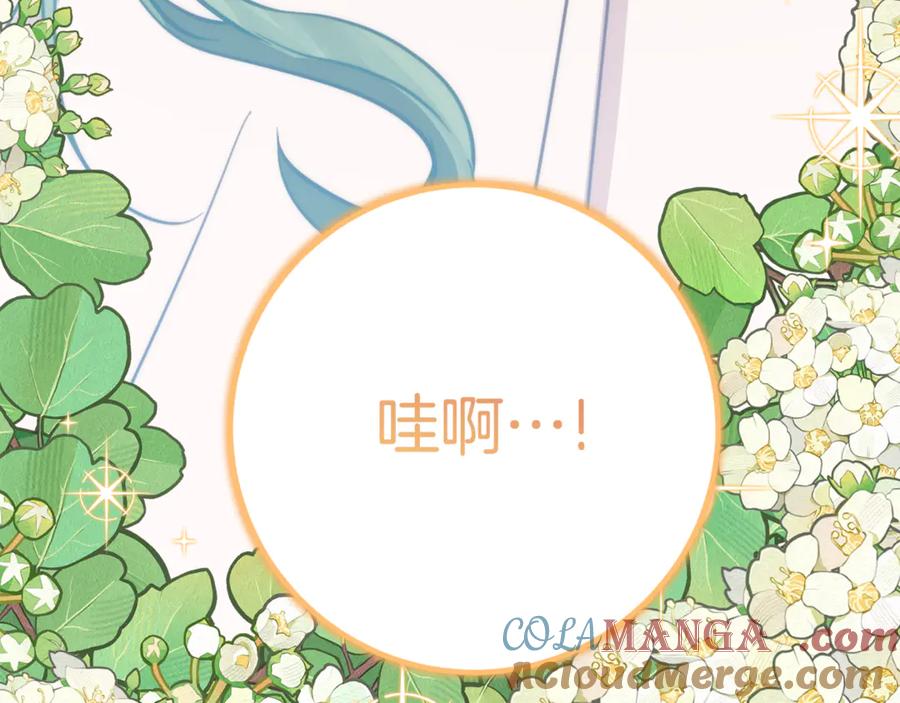 第205页