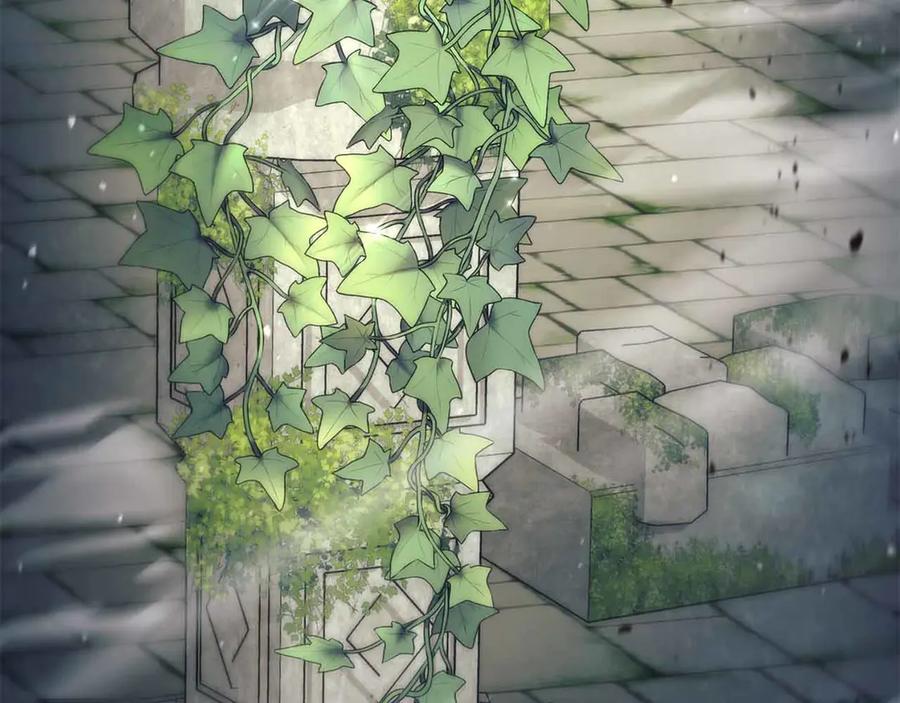 第250页