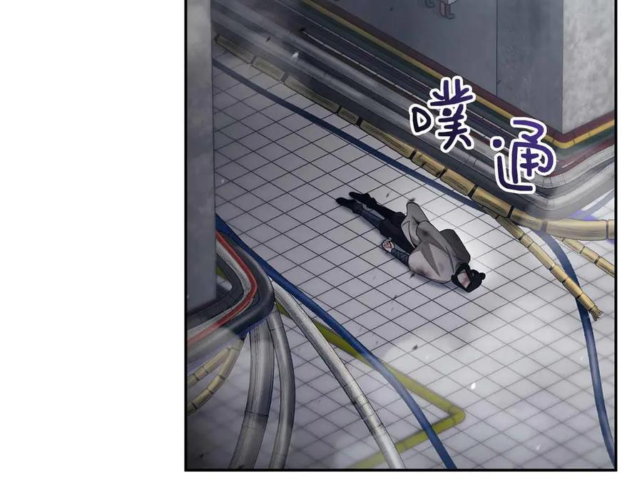 第204页