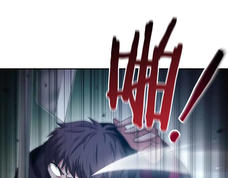 第204页