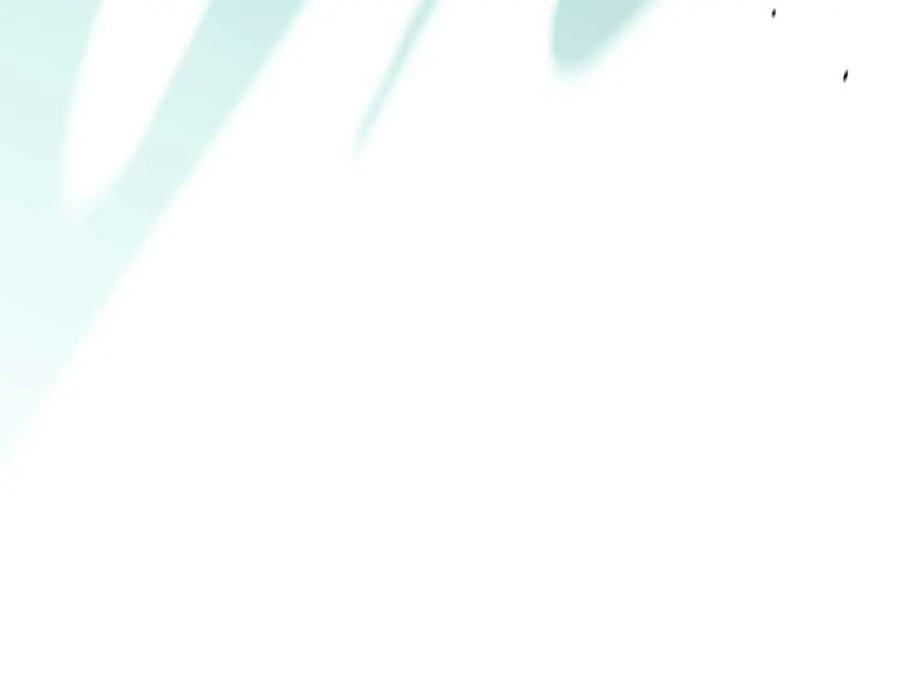 第262页