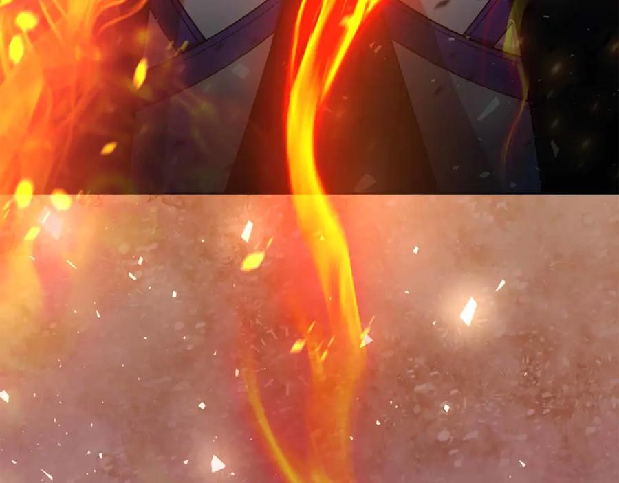 第215页