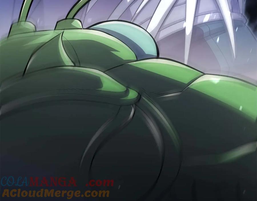 第213页