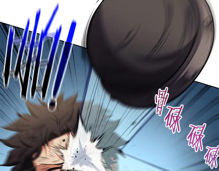 第223页