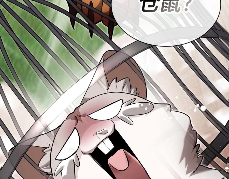 第234页