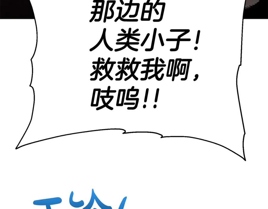 第236页