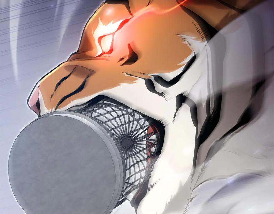第242页