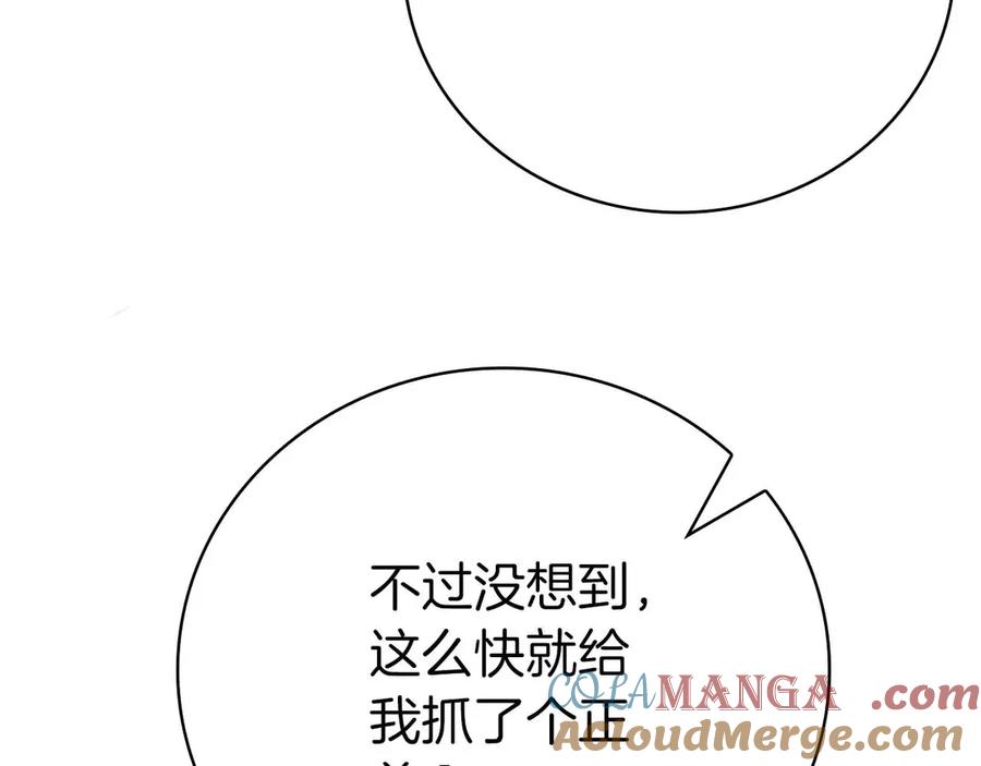 第233页