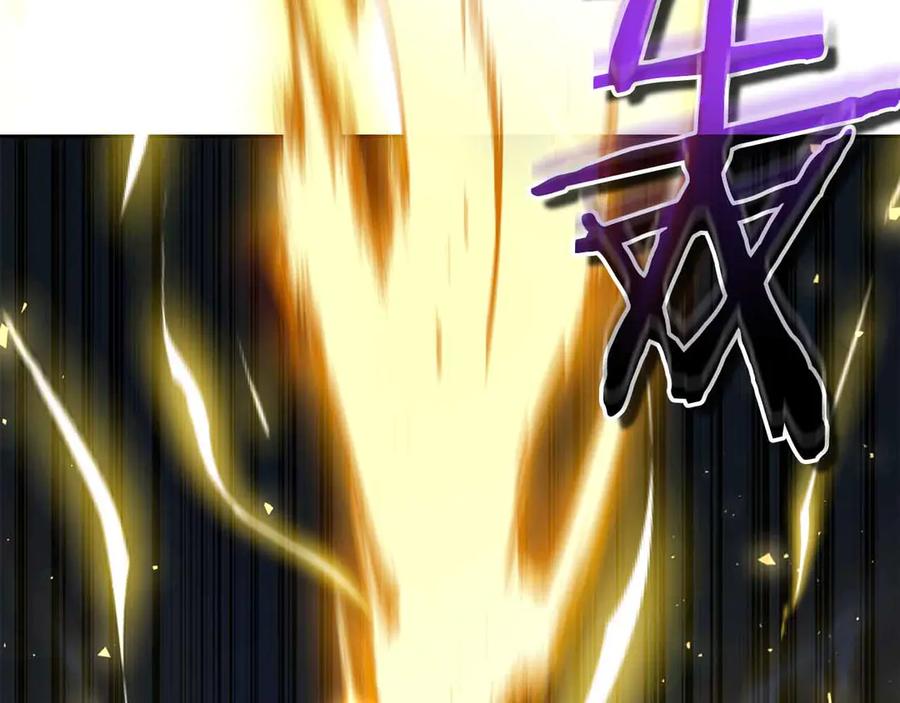 第250页