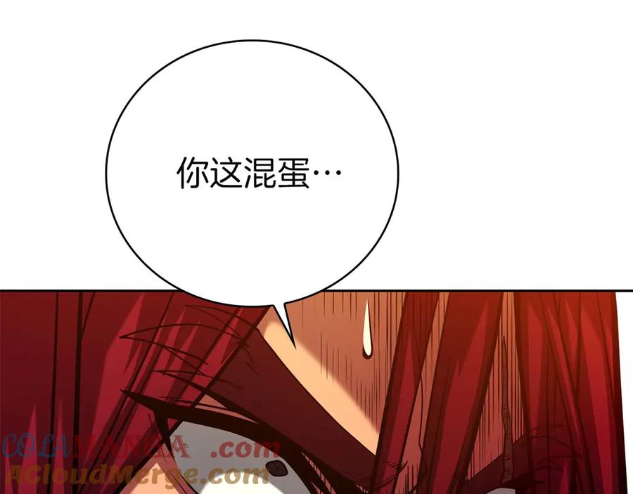 第233页