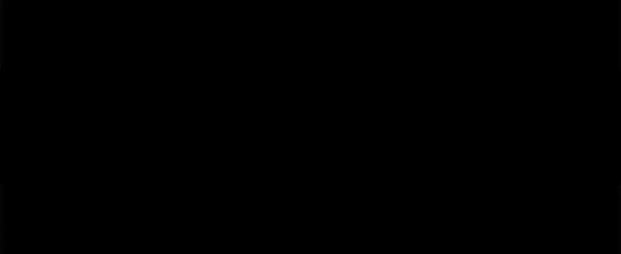 第294页