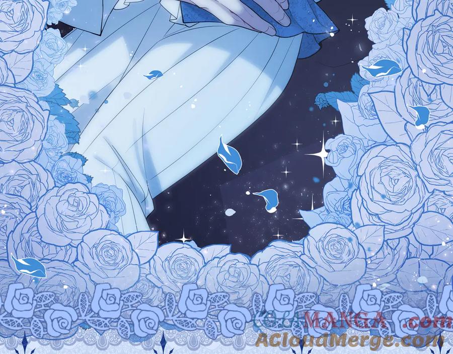 第217页