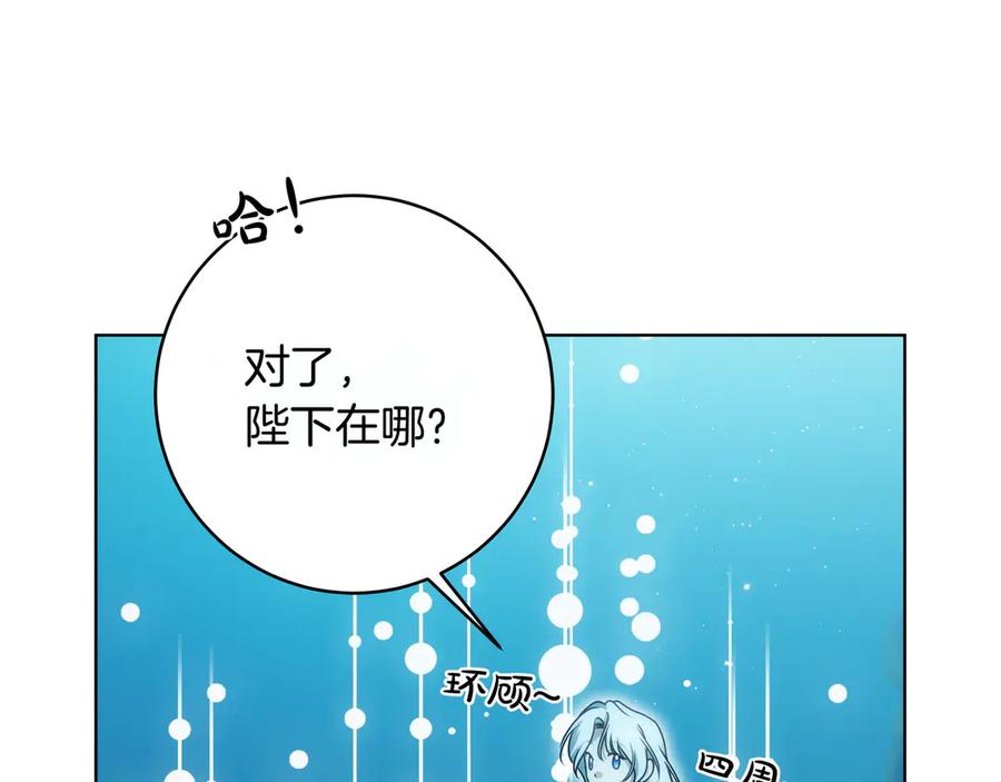 第204页