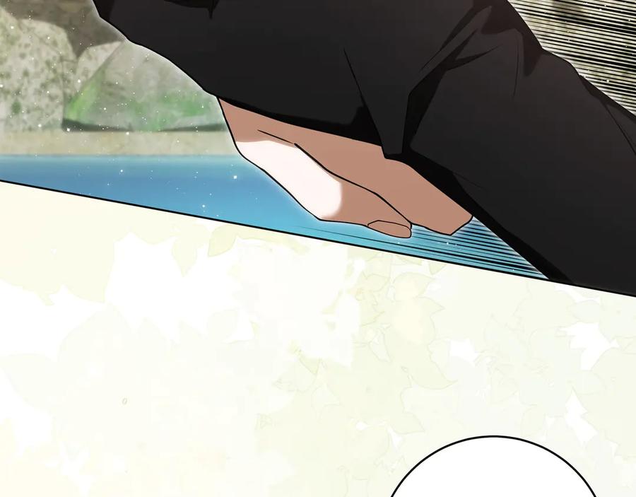 第223页
