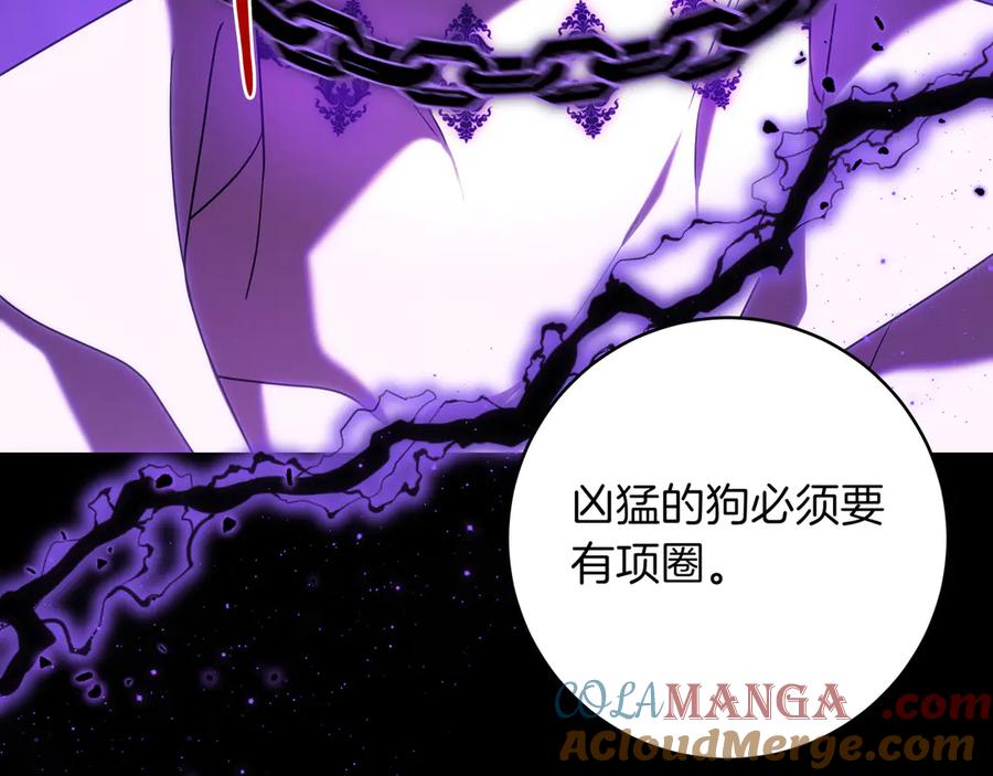 第213页