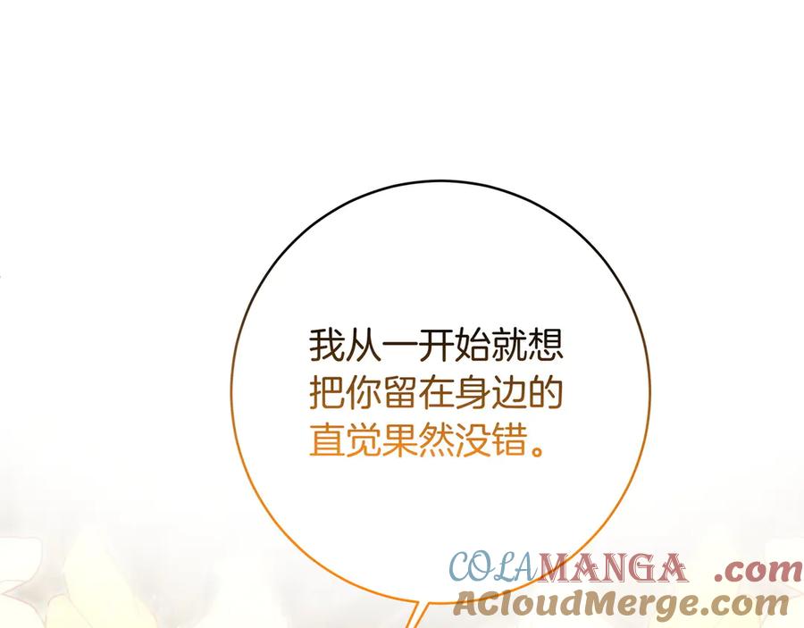 第221页